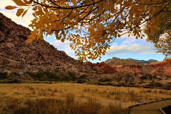 SCENIC VIEW OF MOUNTAINS DURING AUTUMN