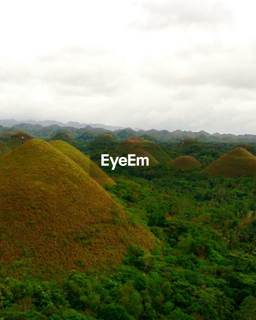 SCENIC VIEW OF TREE MOUNTAINS AGAINST SKY