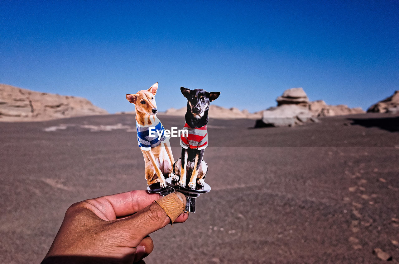 Cropped hand of person holding dog shaped toy against desert