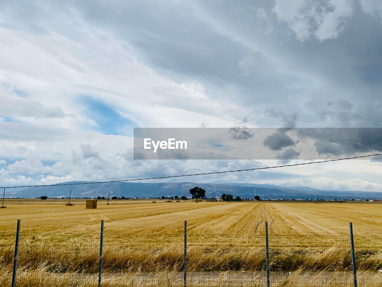 Scenic view of agricultural field against sky