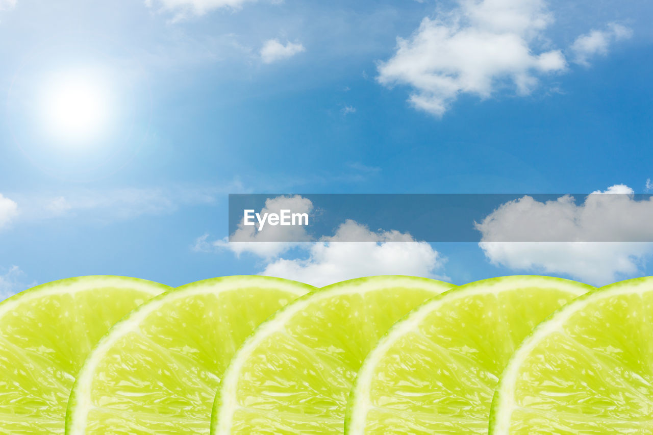 Close-up of lemon slices against sky