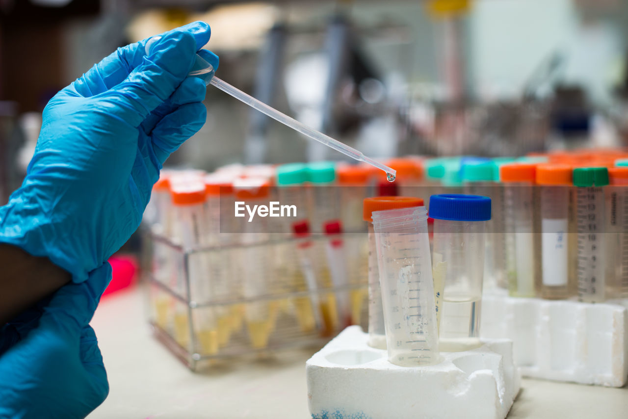 Cropped hand holding test tube in laboratory