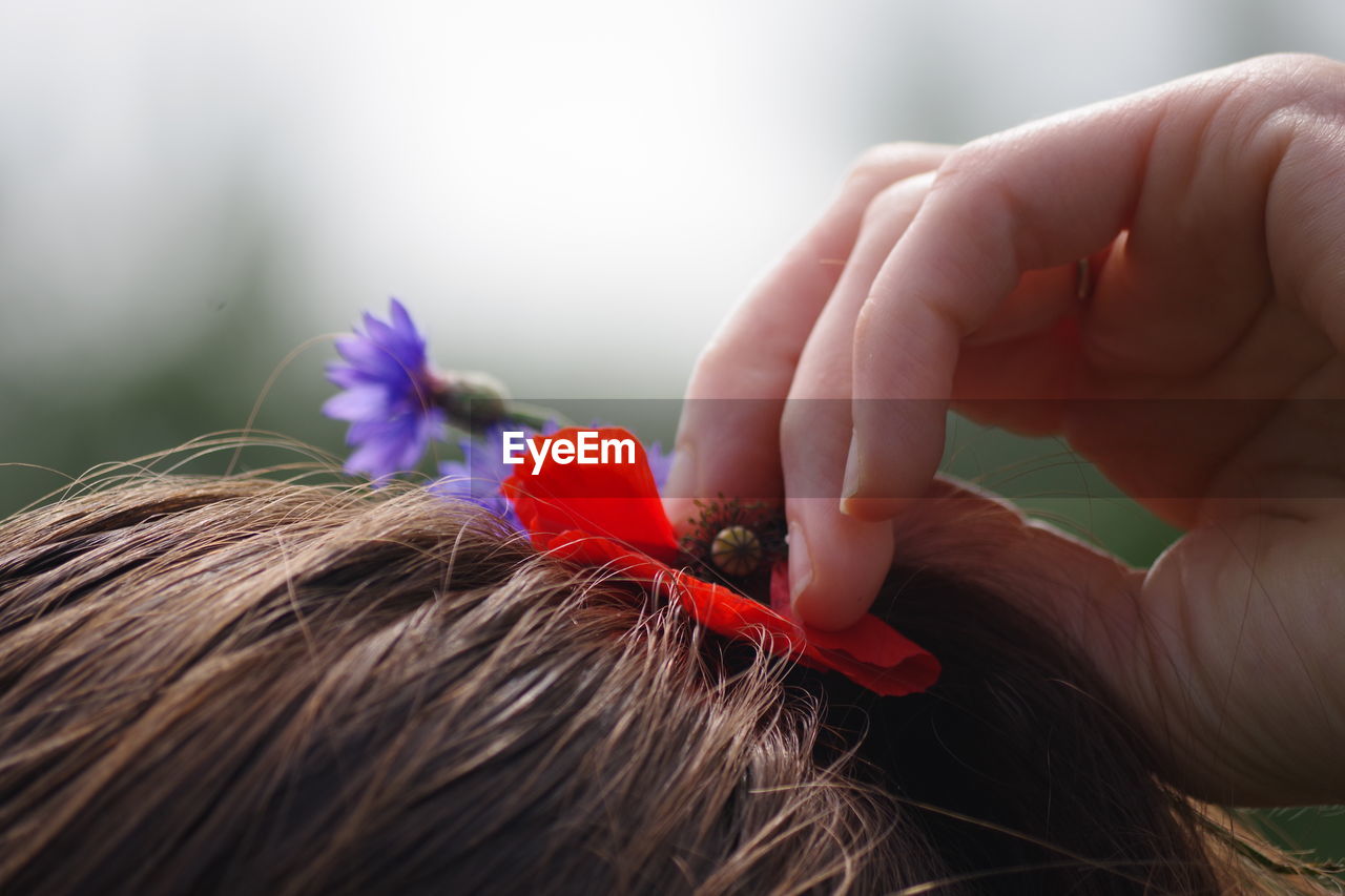 CLOSE-UP OF WOMAN HOLDING RED FLOWERING PLANTS