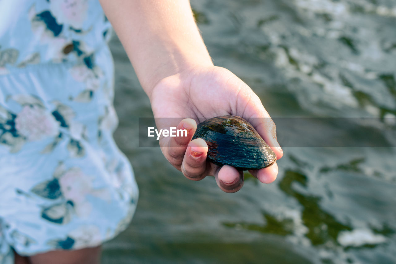 CROPPED IMAGE OF HAND HOLDING WATER WITH REFLECTION