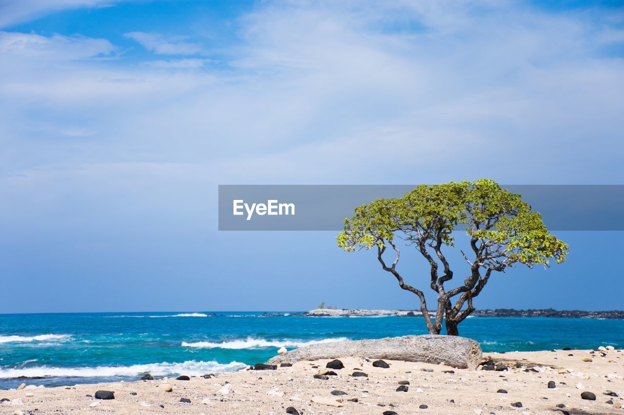 Scenic view of sea against blue sky