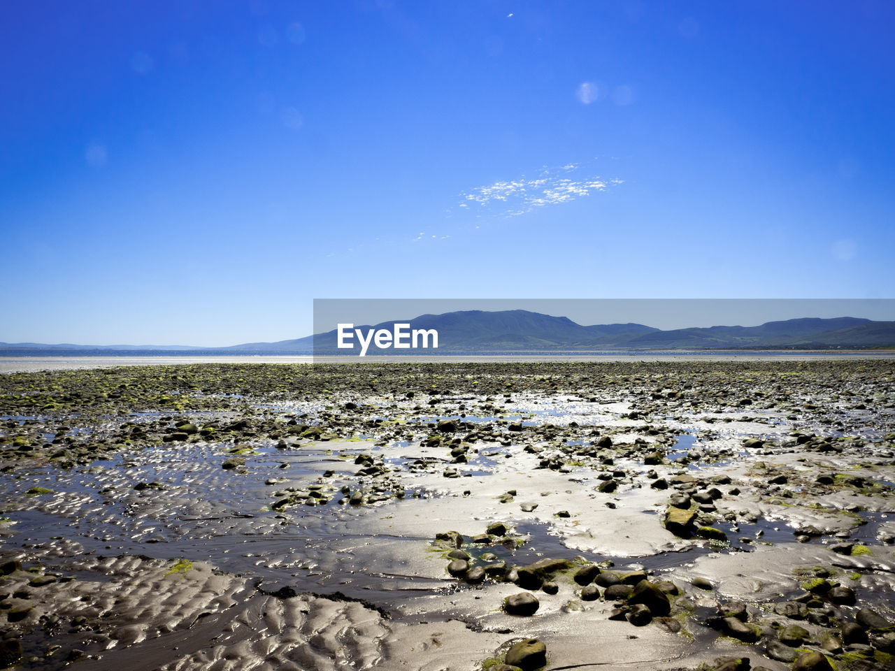 Scenic view of landscape against clear blue sky