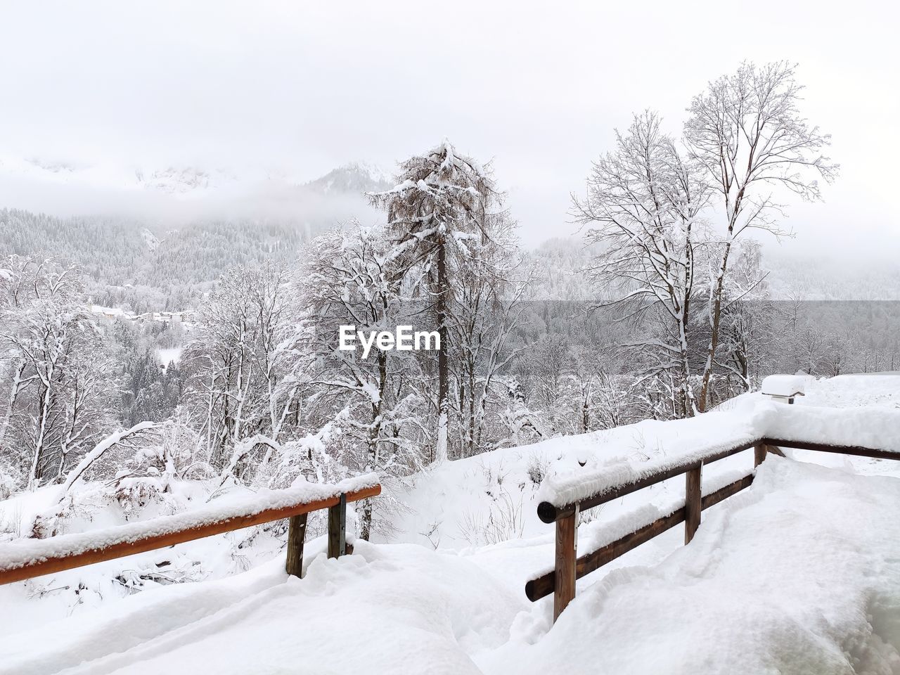 Snow covered field by trees against sky