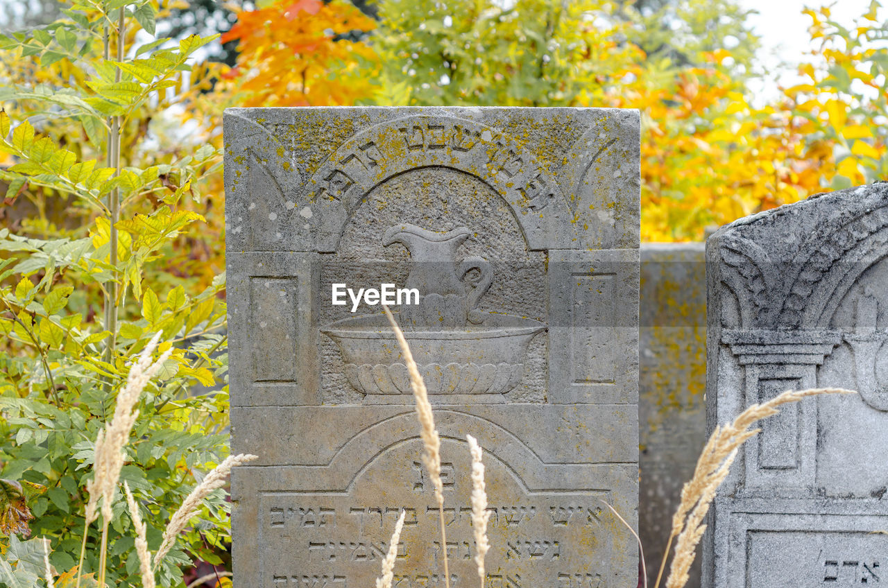 CLOSE-UP OF CROSS SHAPE ON TREE AT CEMETERY