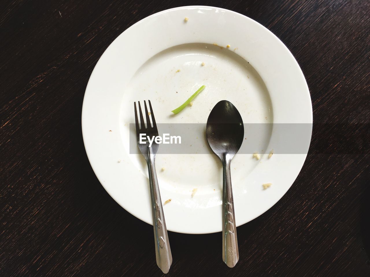 HIGH ANGLE VIEW OF FOOD IN PLATE