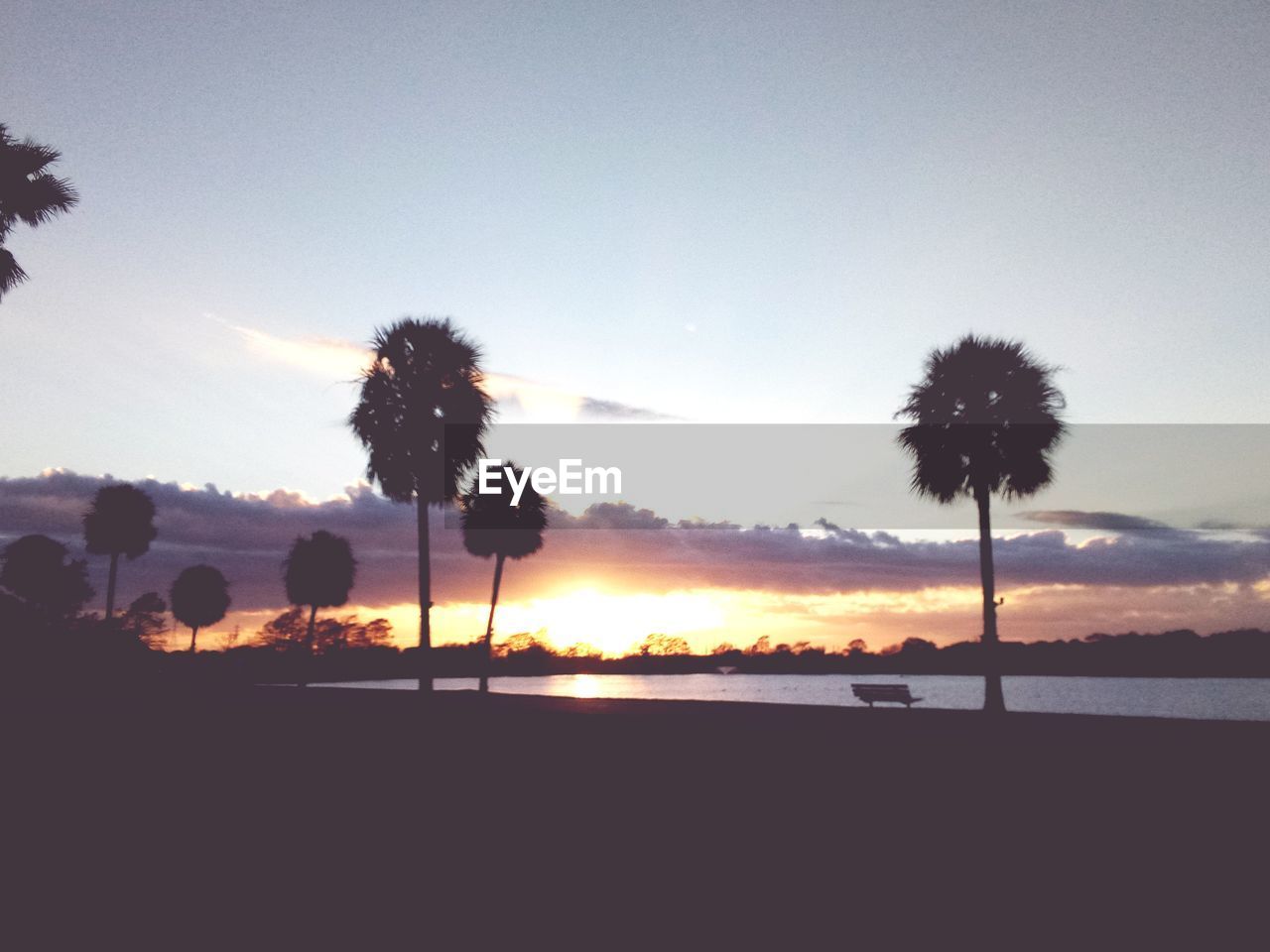 SILHOUETTE COCONUT PALM TREES AGAINST CLEAR SKY DURING SUNSET