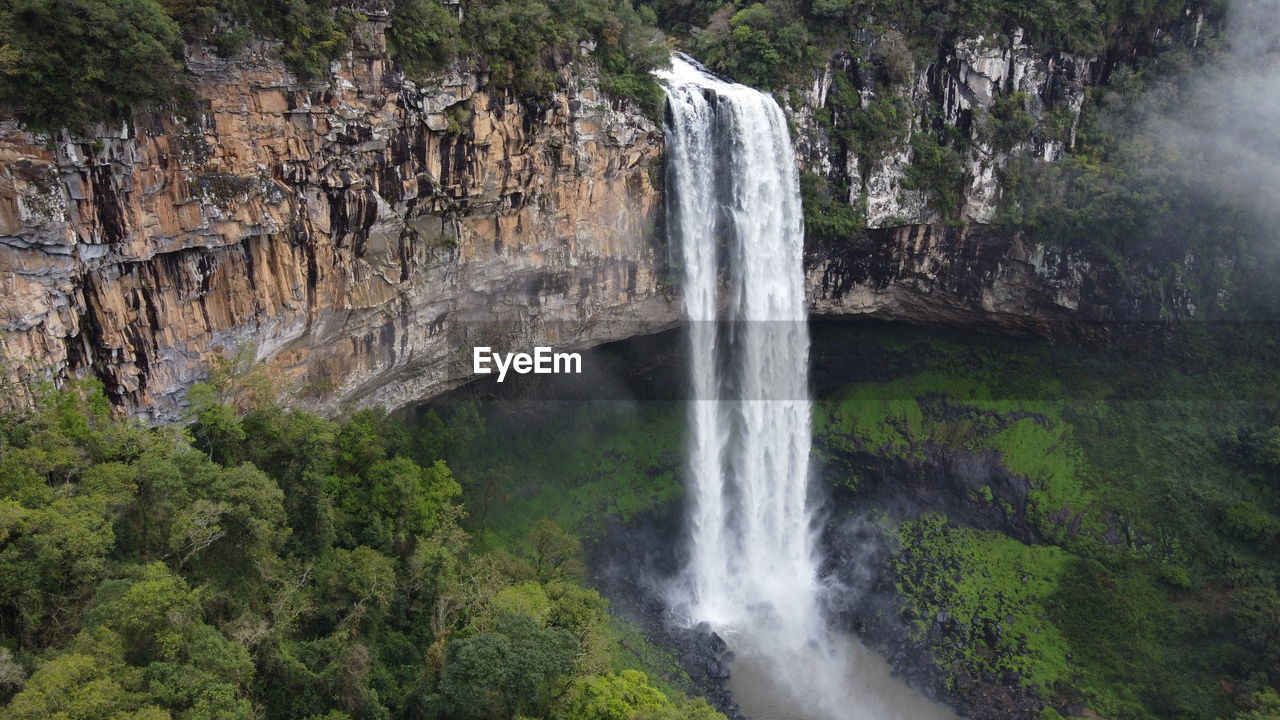 View of waterfall in forest