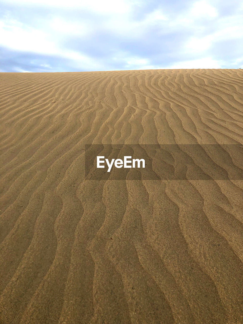 SCENIC VIEW OF SAND DUNE AGAINST SKY