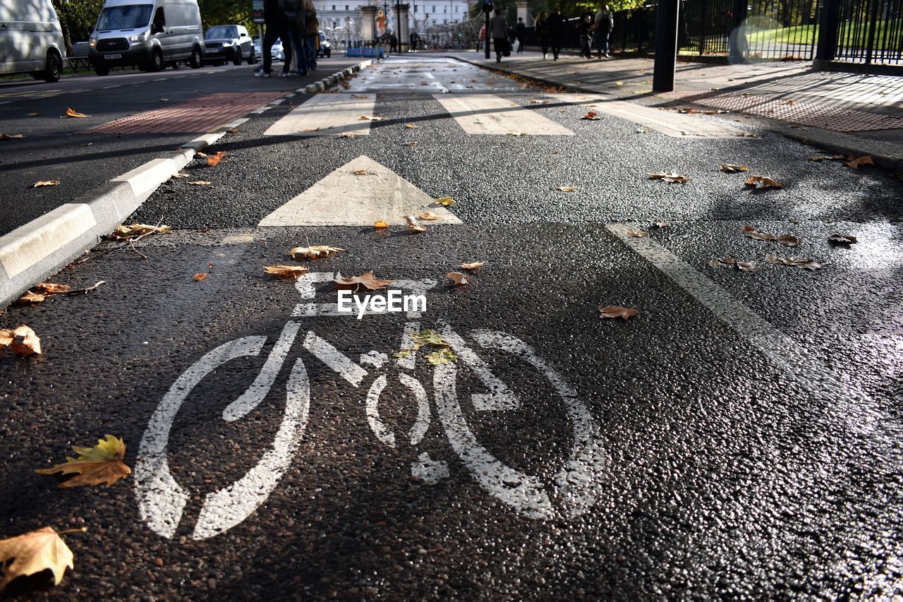 High angle view of bicycle marking on a london cycling lane in autumn with leaves and damp ground