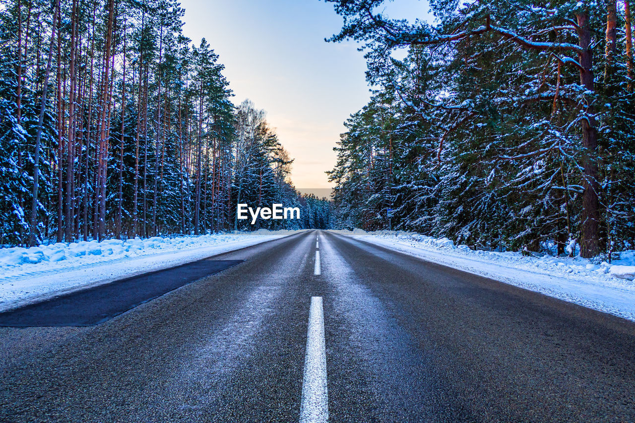 Winter road thru the frozen forest.