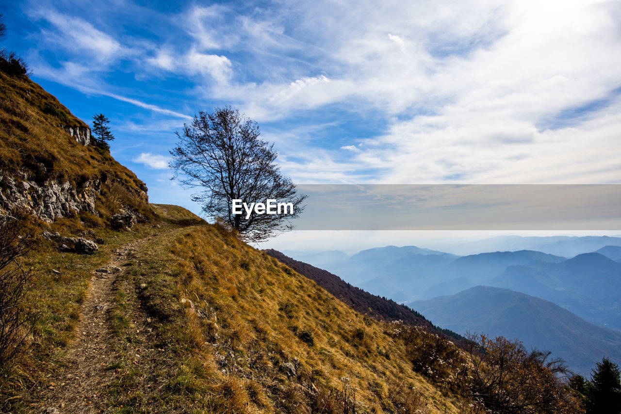 sky, mountain, cloud, nature, scenics - nature, environment, landscape, beauty in nature, wilderness, mountain range, tree, ridge, plant, land, tranquility, non-urban scene, tranquil scene, travel, travel destinations, no people, blue, outdoors, forest, pinaceae, pine tree, rock, tourism, coniferous tree, idyllic, mountain peak, valley, plateau, day, rural scene, remote, summit, pine woodland, activity, cloudscape, sunlight