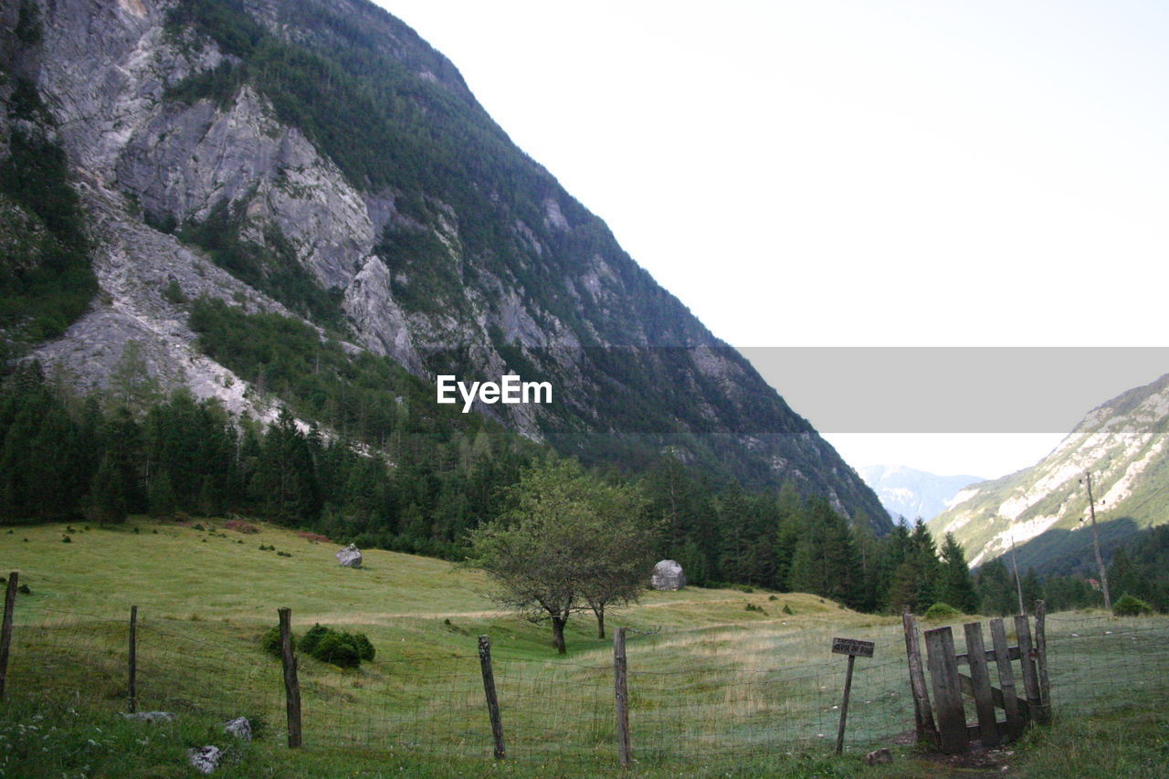 SCENIC VIEW OF FARM AGAINST SKY