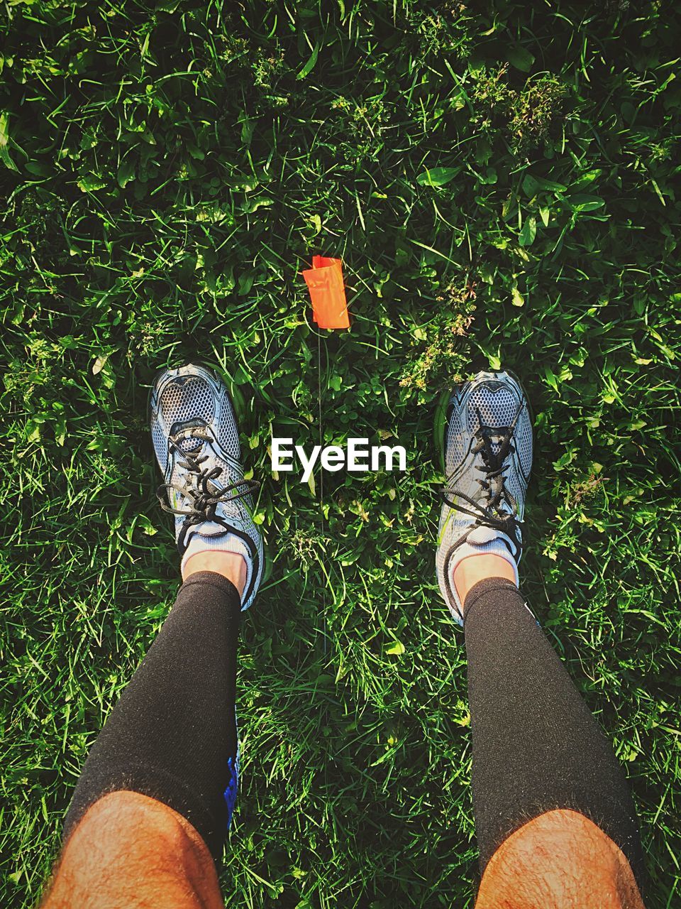 Low section of man wearing sports shoe standing on grass