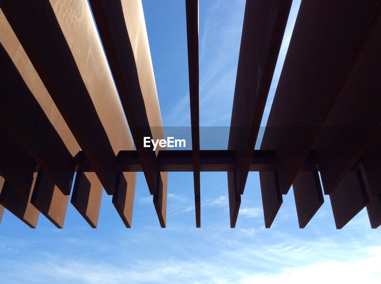 LOW ANGLE VIEW OF TREES AGAINST SKY