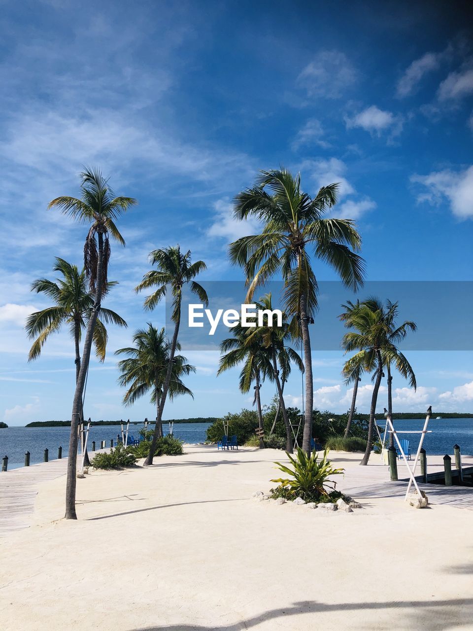 Palm trees on beach against sky