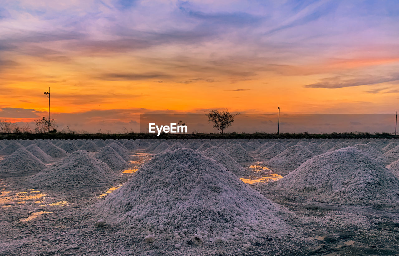 SCENIC VIEW OF FIELD DURING SUNSET