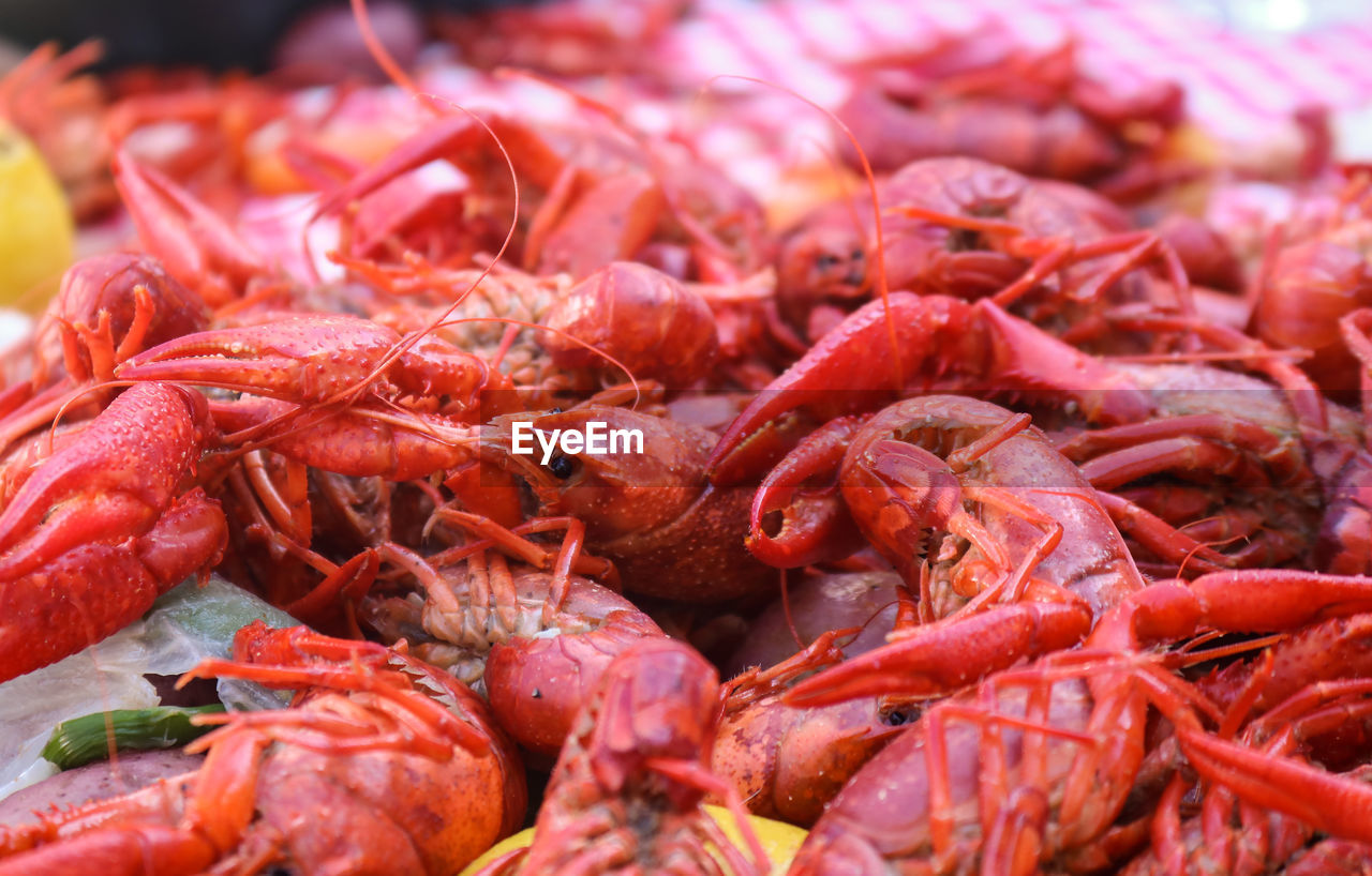 CLOSE-UP OF RED CHILI FOR SALE AT MARKET