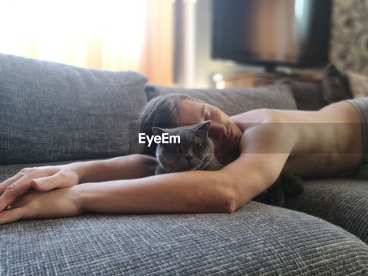 CLOSE-UP OF KITTEN LYING ON SOFA