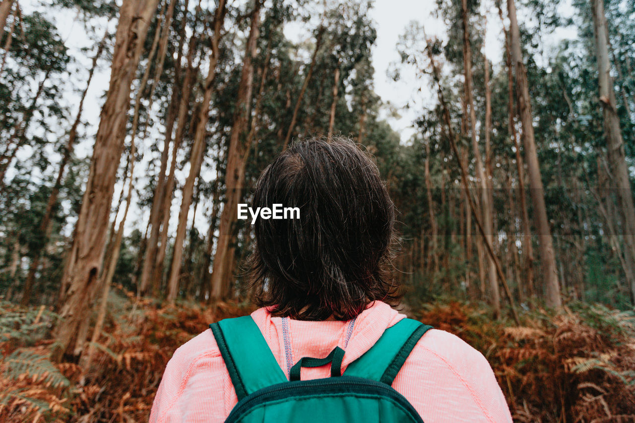 REAR VIEW OF WOMAN IN FOREST AGAINST TREES