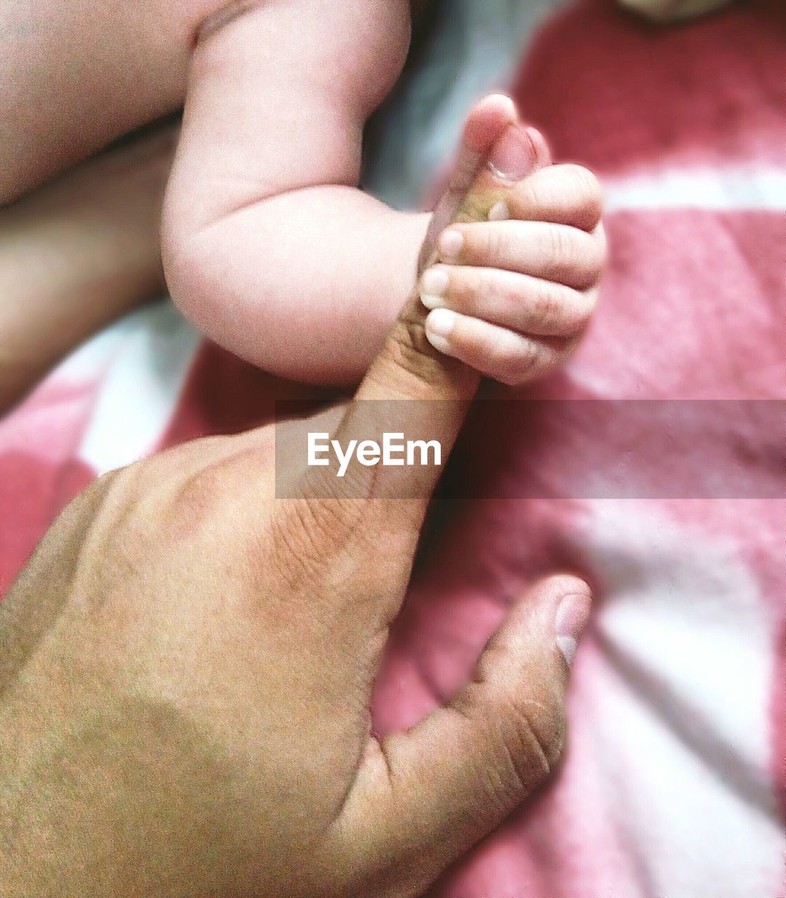 Cropped image of newborn baby holding finger of man on bed