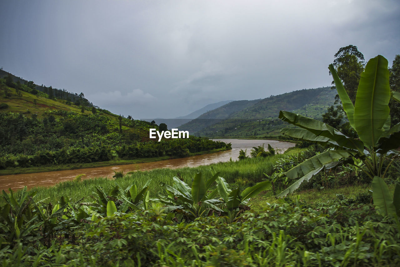 Scenic view of landscape and mountains against sky