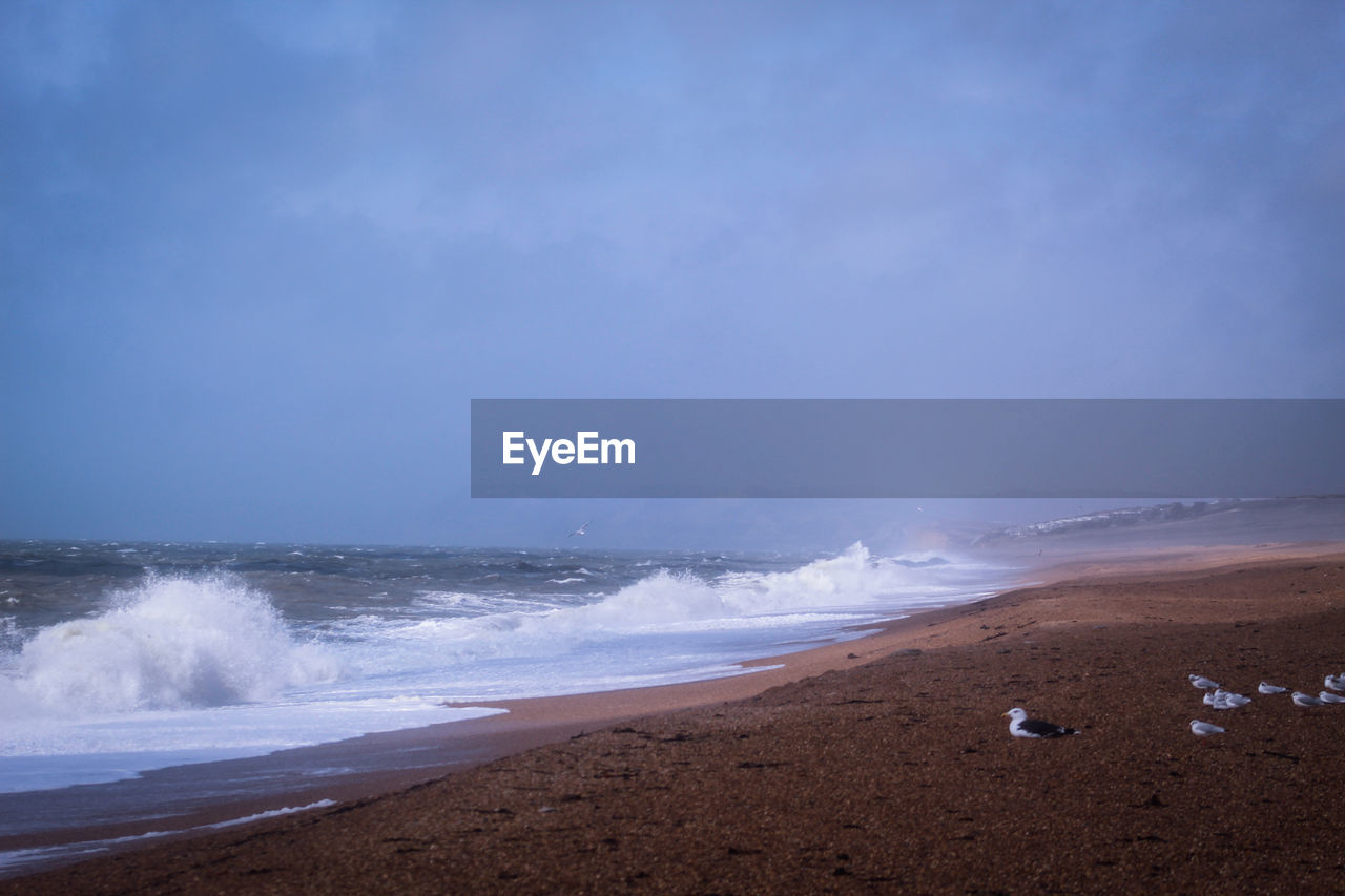 Scenic view of beach against sky