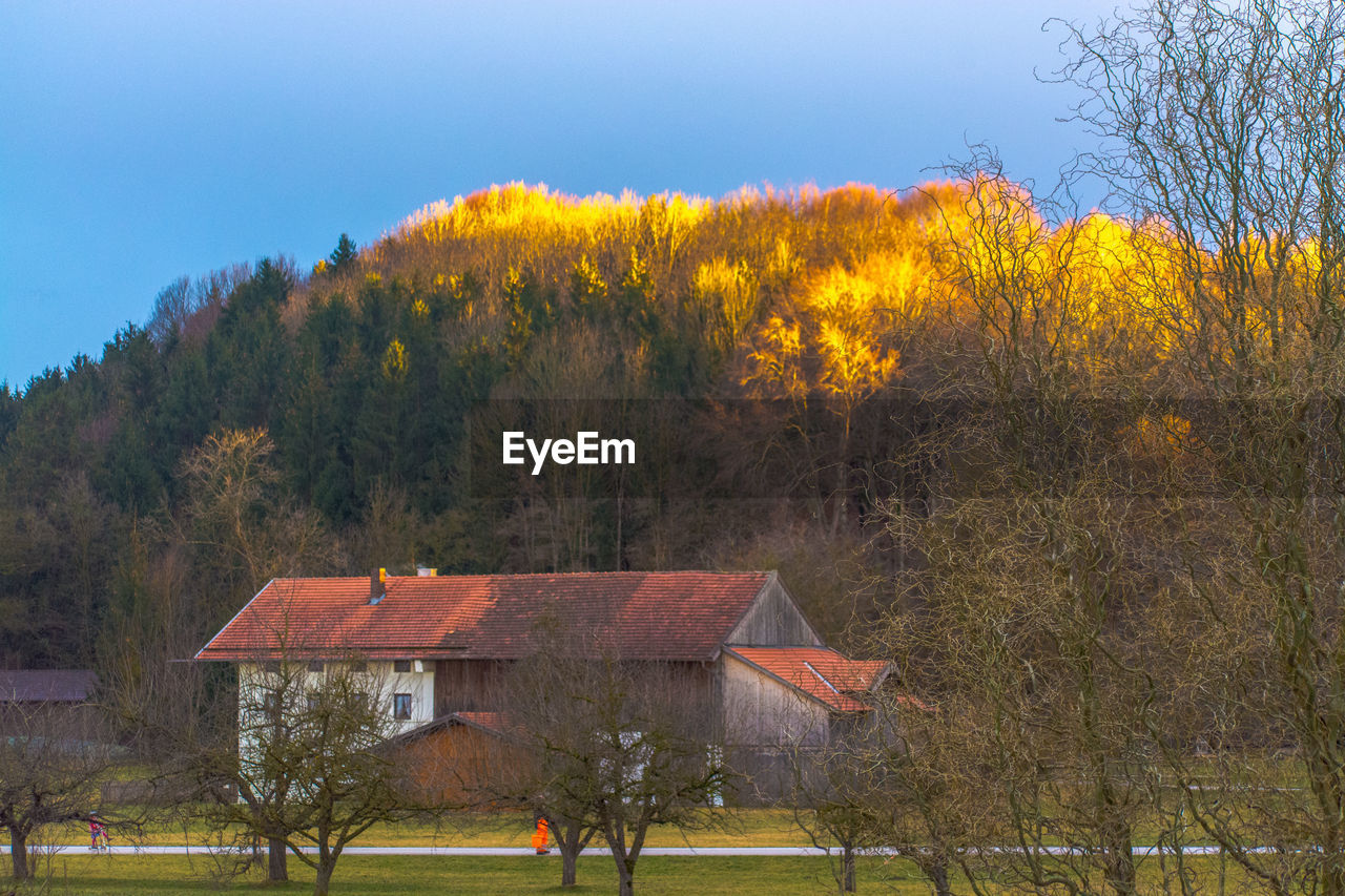 HOUSE AND TREES AGAINST SKY IN FOREST