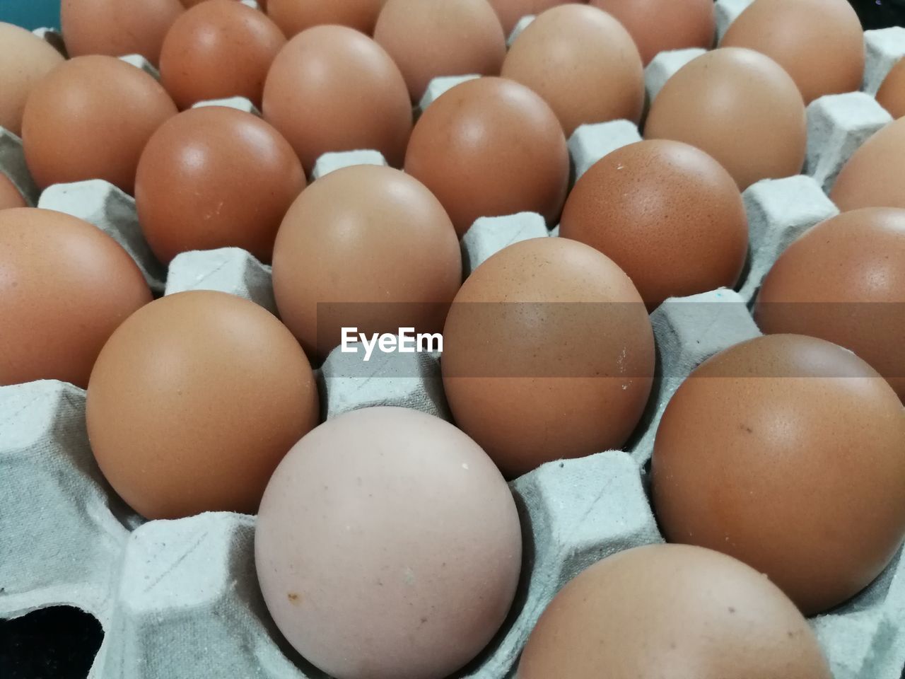 FULL FRAME SHOT OF EGGS IN CONTAINER