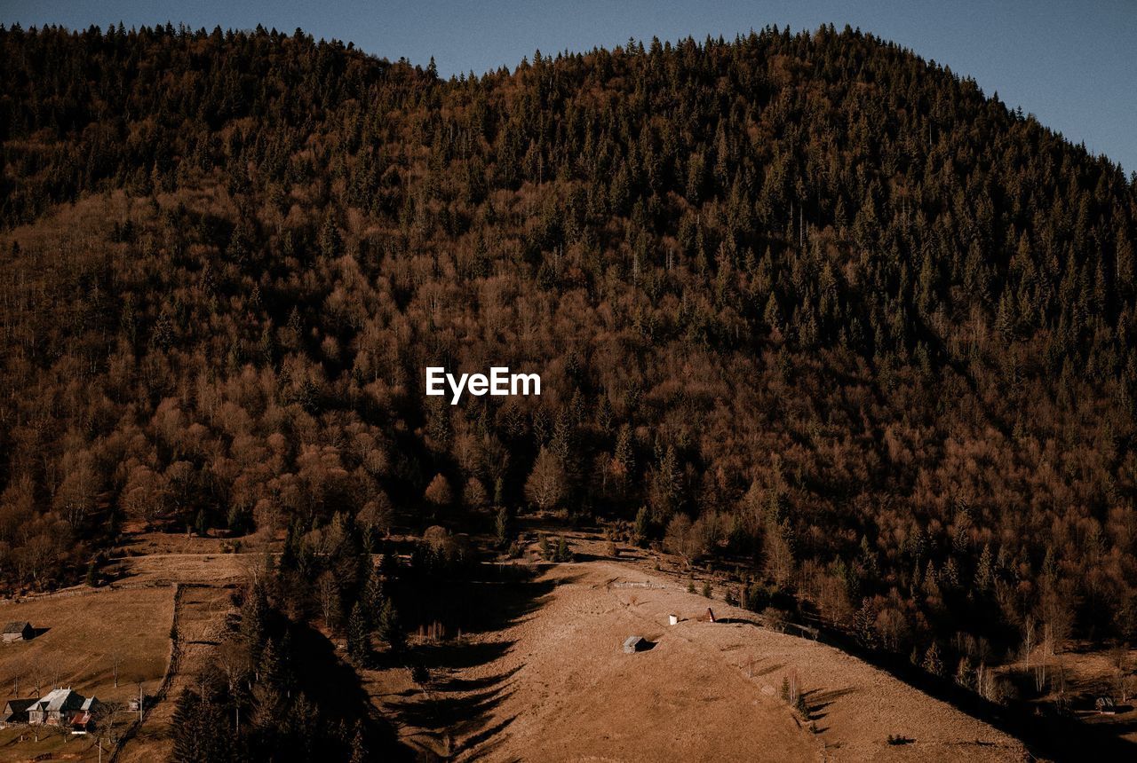 High angle view of trees on land against sky