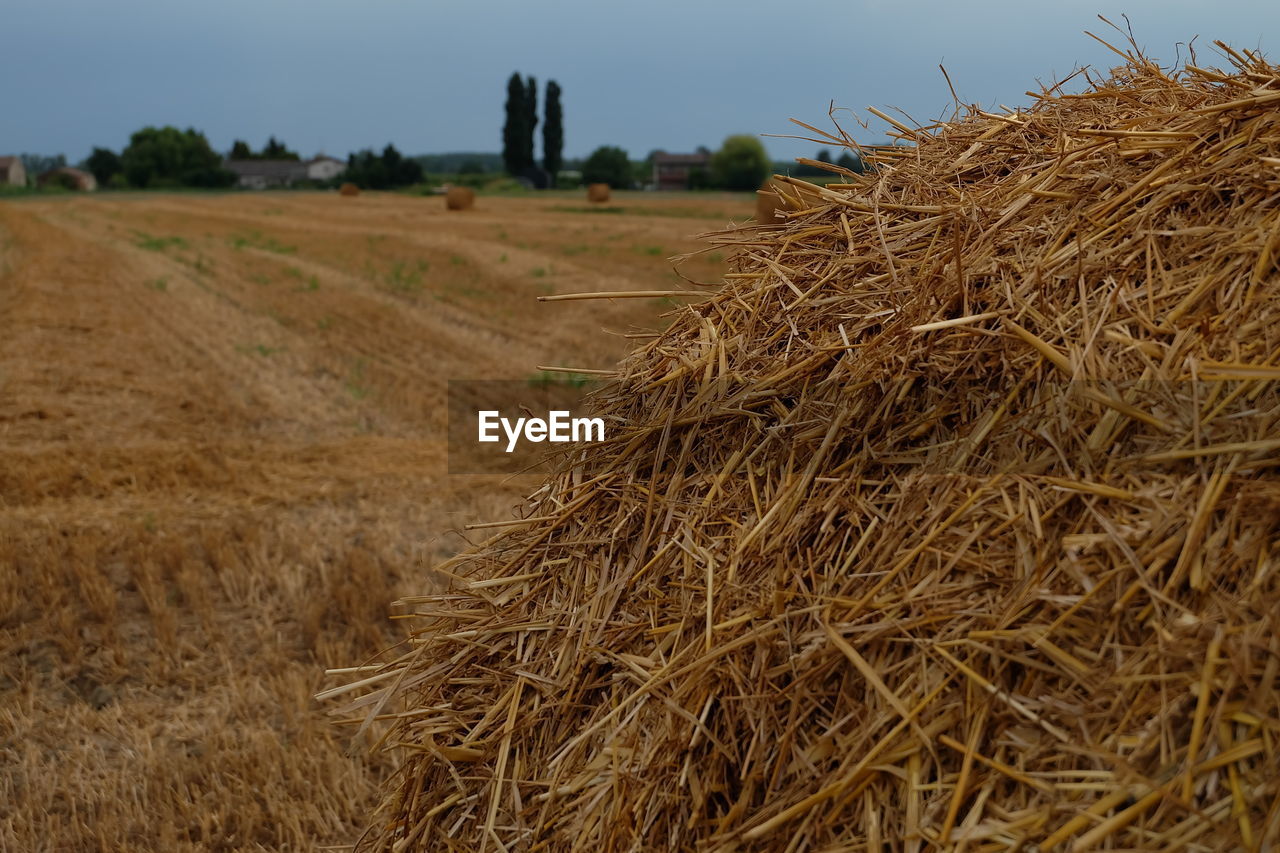 Hay bales on field against sky