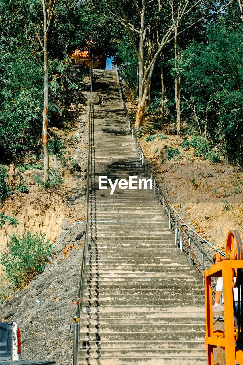 View of railroad tracks in forest
