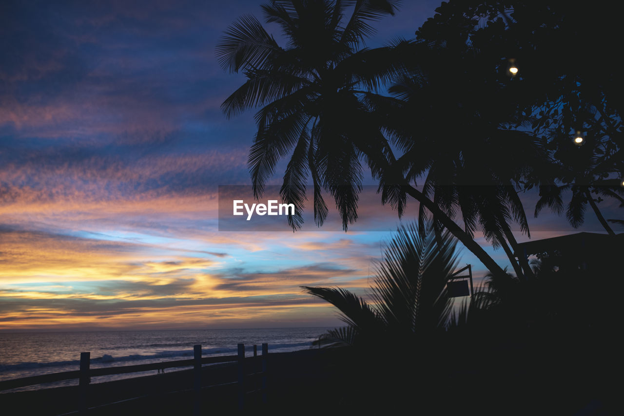 Silhouette palm trees on beach against sky at sunset