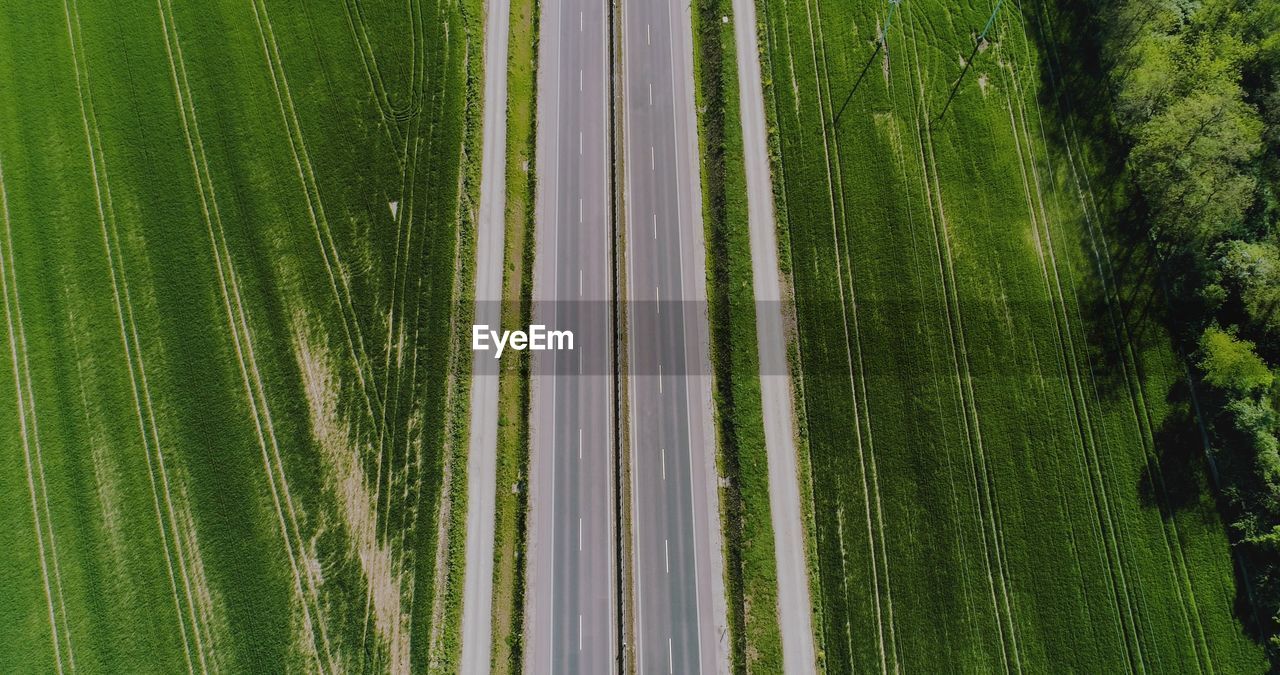 green, plant, growth, grass, no people, field, nature, beauty in nature, land, tree, agriculture, landscape, scenics - nature, rural scene, day, environment, high angle view, tranquility, outdoors, aerial view, full frame, tranquil scene, crop, farm, leaf, sunlight, backgrounds, lawn, pattern, plant stem