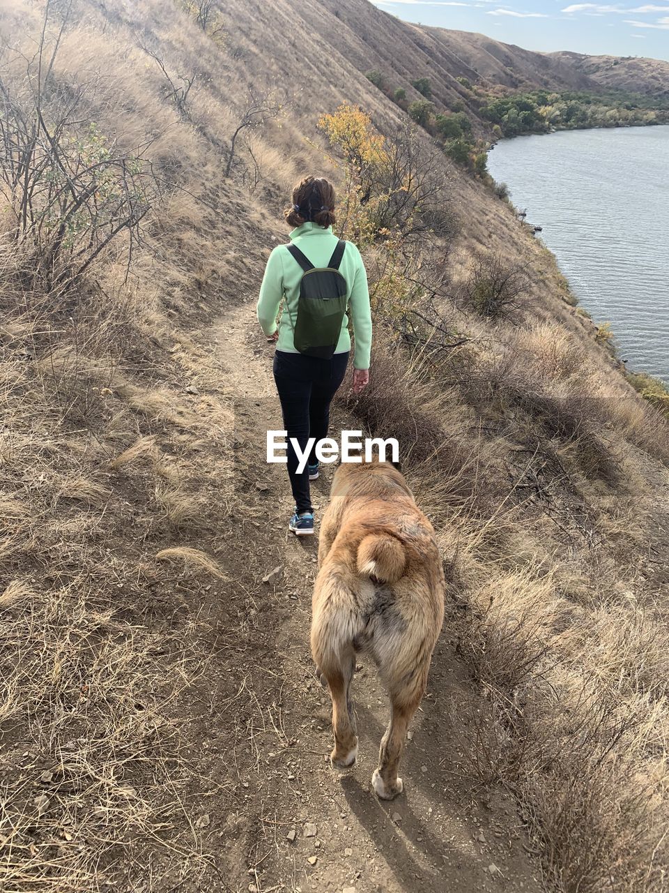 Rear view of man walking with dog on water