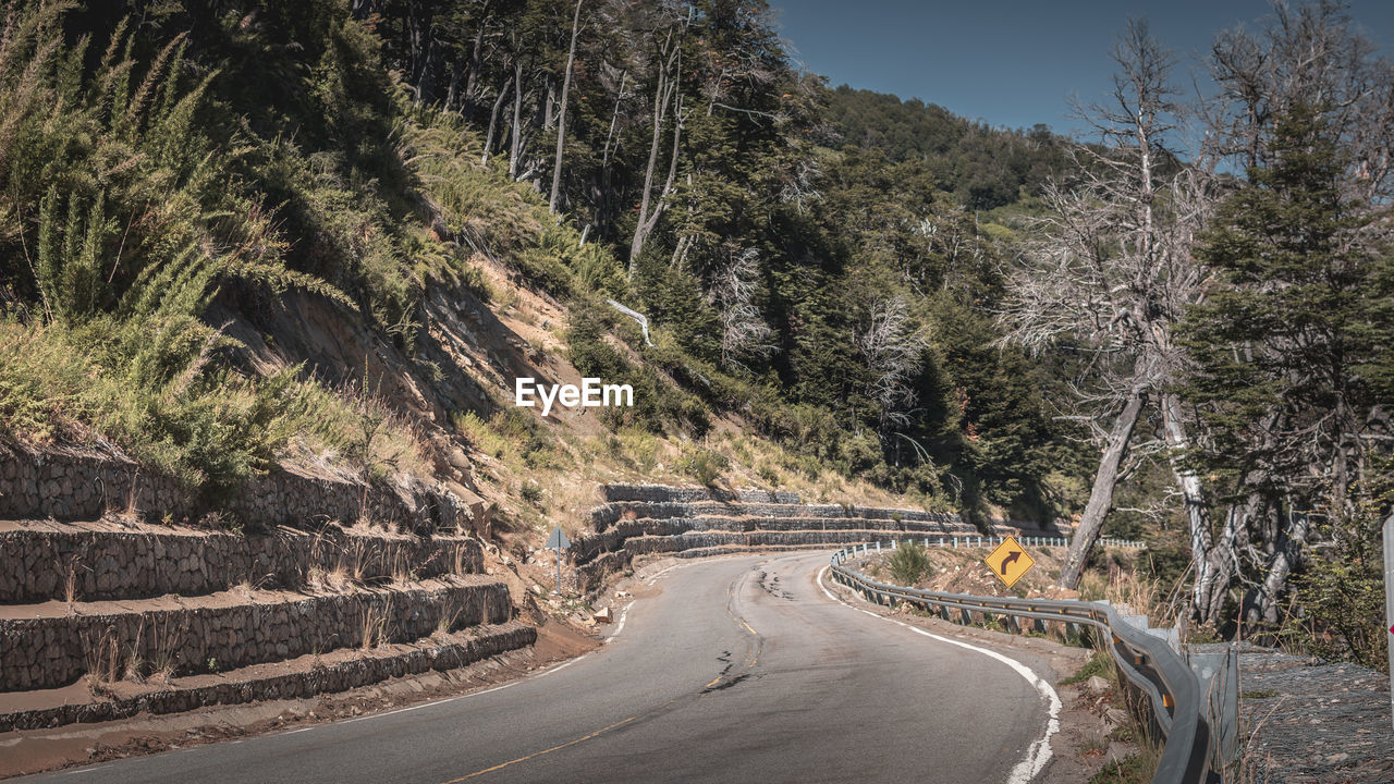 Road amidst trees against mountains