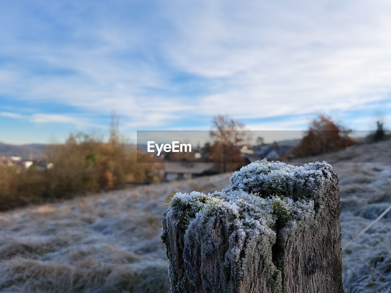 winter, nature, frost, snow, grass, plant, sky, tree, no people, cold temperature, focus on foreground, land, day, cloud, environment, landscape, tranquility, rock, rural area, wilderness, autumn, ice, freezing, scenics - nature, tranquil scene, beauty in nature, field, outdoors, frozen, growth, non-urban scene, natural environment