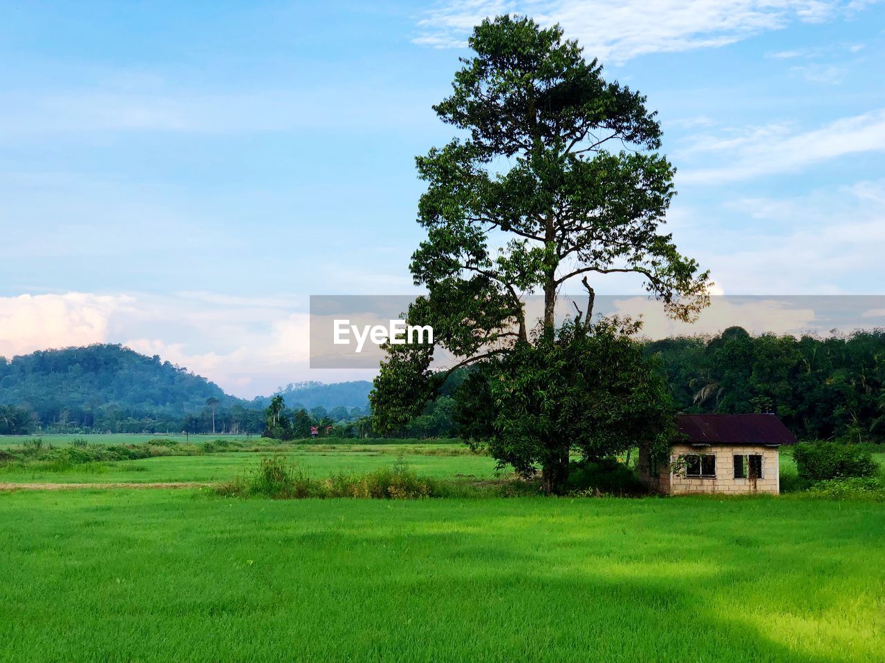 SCENIC VIEW OF LAND AGAINST SKY