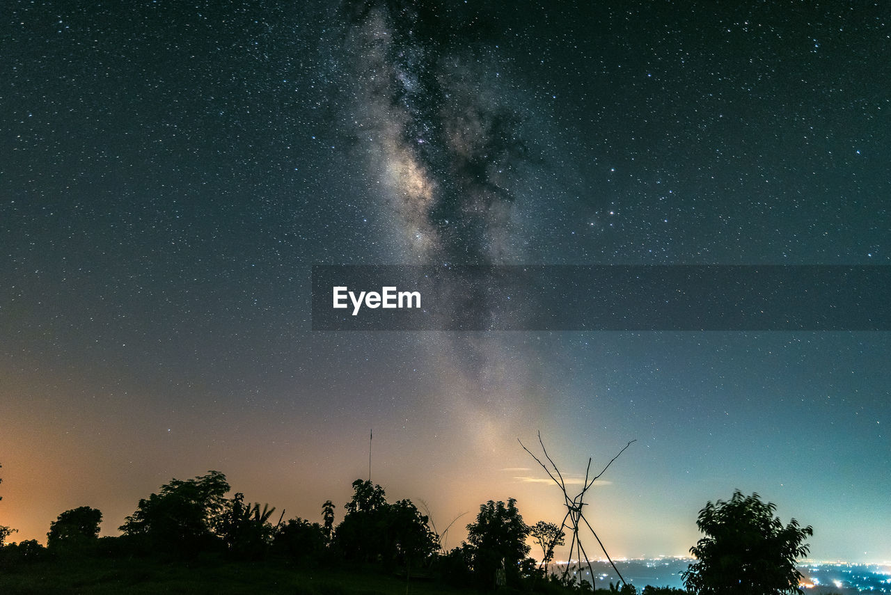 Low angle view of silhouette trees against sky at night