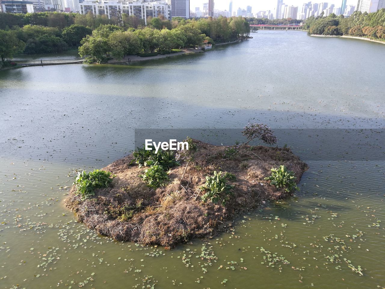 HIGH ANGLE VIEW OF PLANTS BY SEA