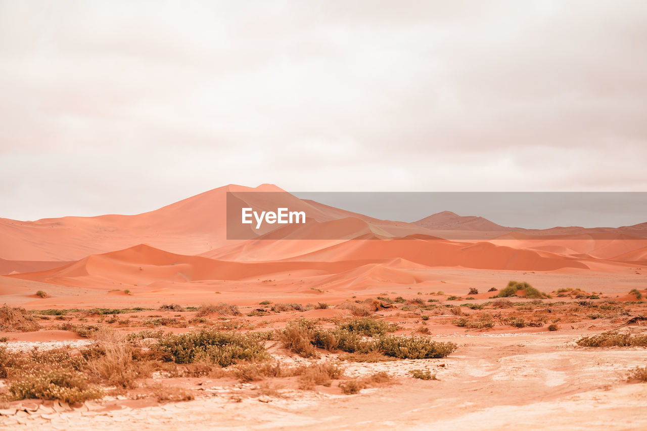 Scenic view of desert against sky