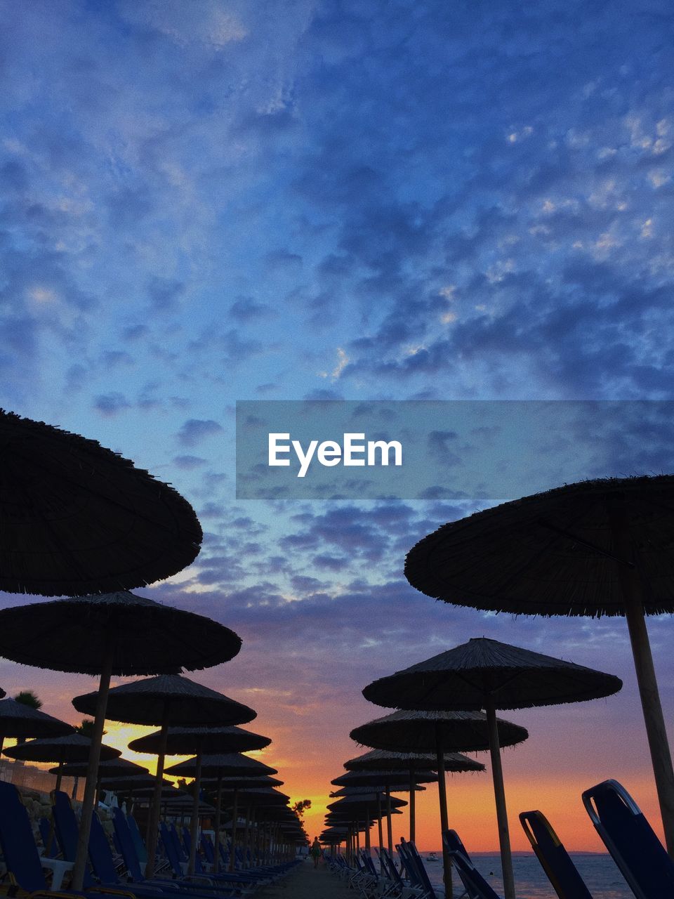 LOW ANGLE VIEW OF SILHOUETTE TREES AGAINST SKY