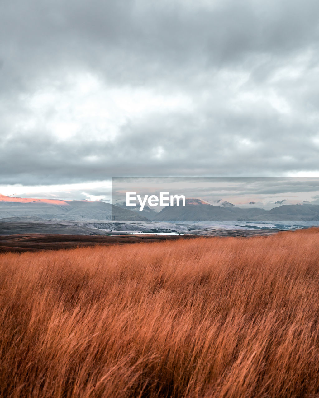 Scenic view of field against cloudy sky