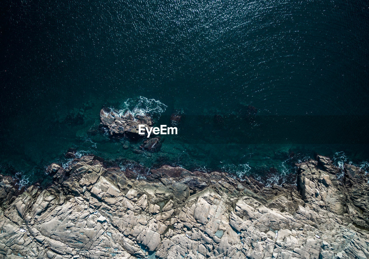 HIGH ANGLE VIEW OF TURTLE IN SEA WITH ROCK