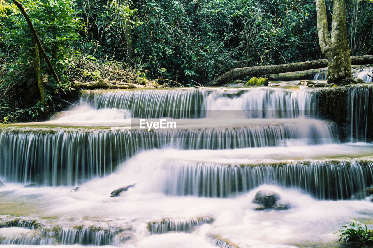 WATERFALL IN FOREST