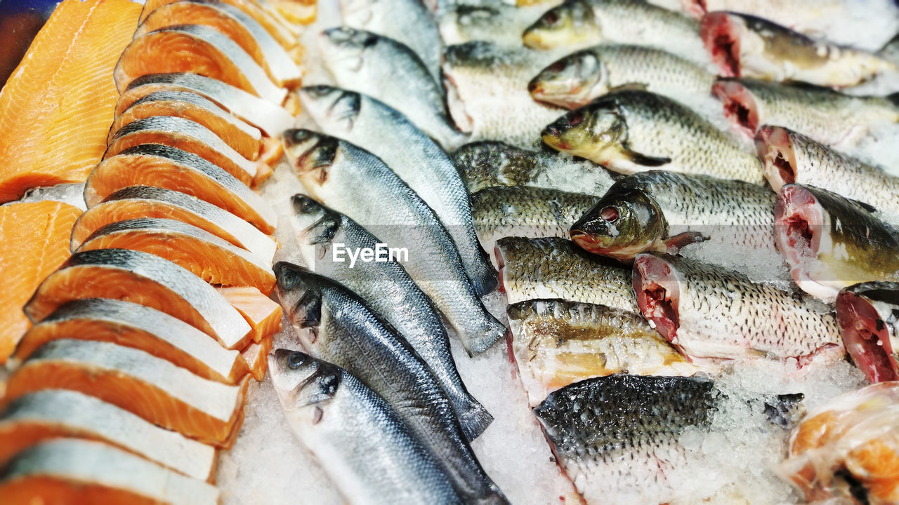 FULL FRAME SHOT OF FISH FOR SALE AT MARKET