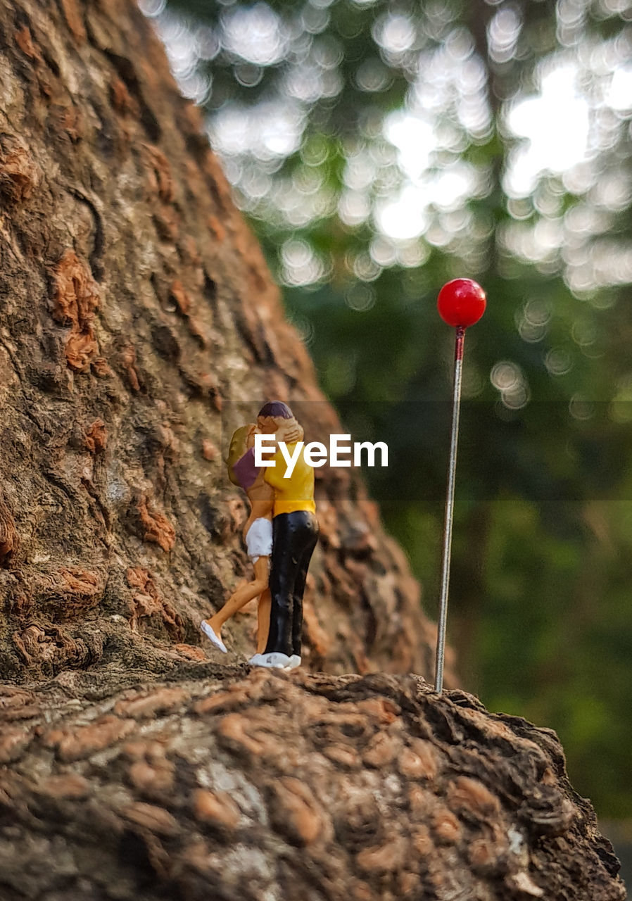 MAN STANDING ON ROCK AGAINST TREE